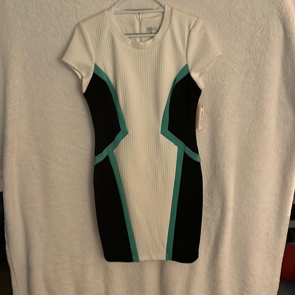 Bisou Bisou Dresses & Skirts - Womens size 12 Dress